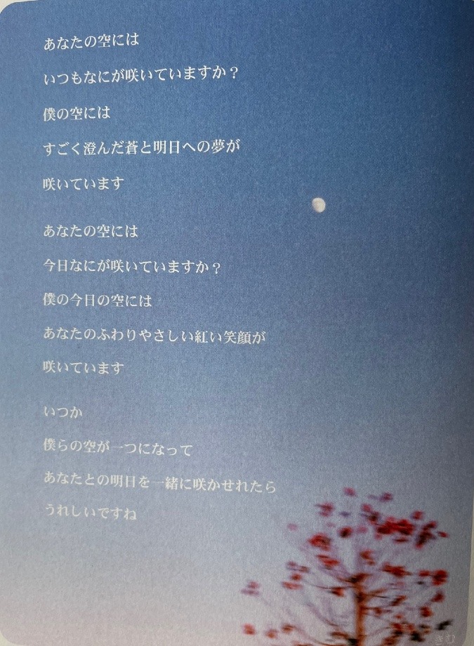 心の癒し✨