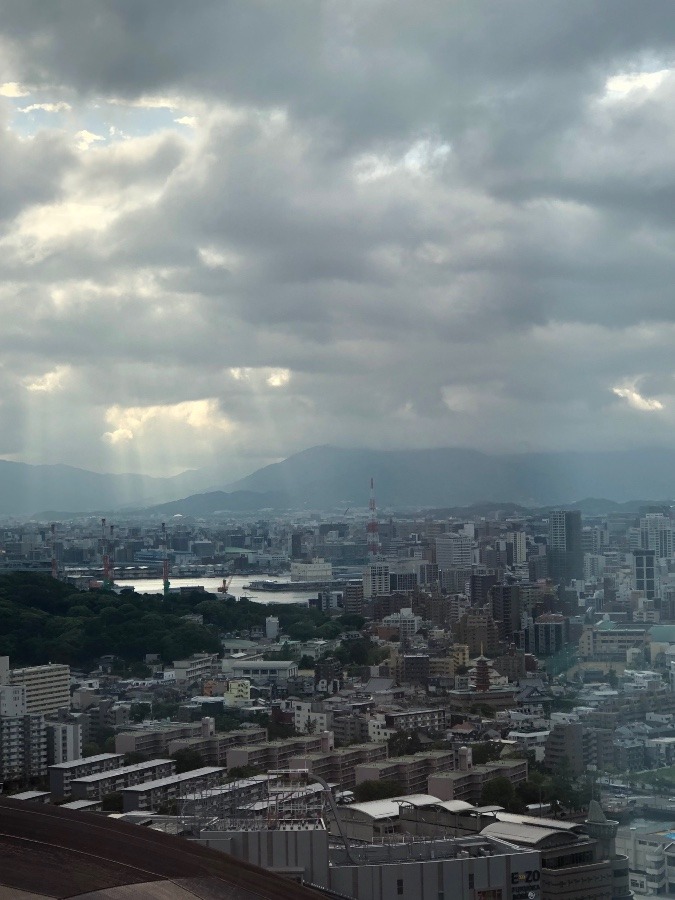 おはようございます