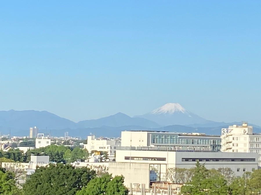 今朝の富士山