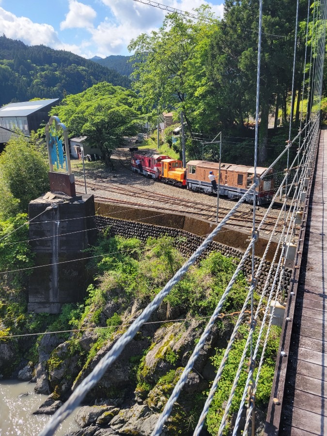 吊り橋から見たトビーとラスティ