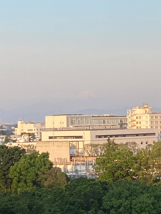 今朝の富士山