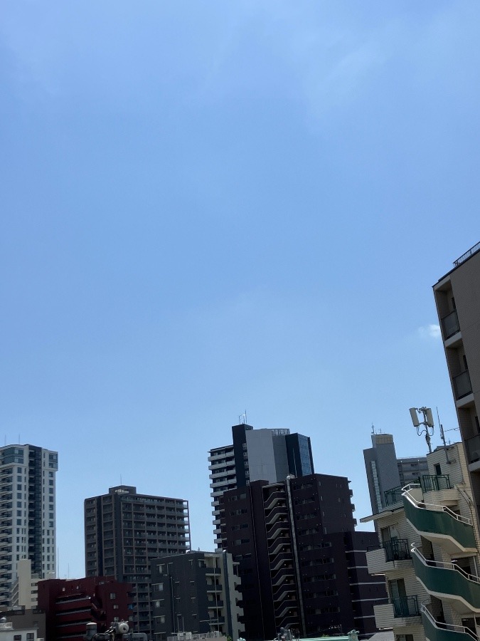 5/21 朝空(小満)