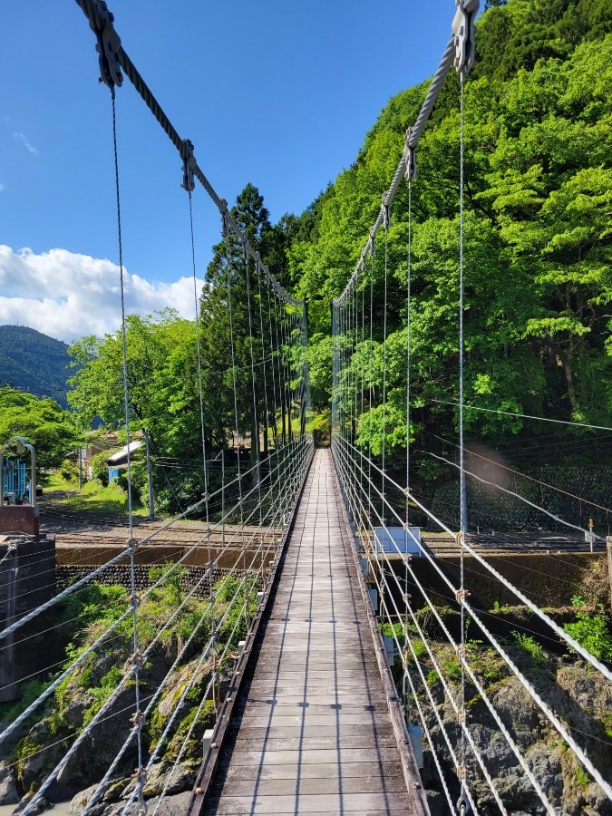 新緑と吊り橋を楽しんで来ました