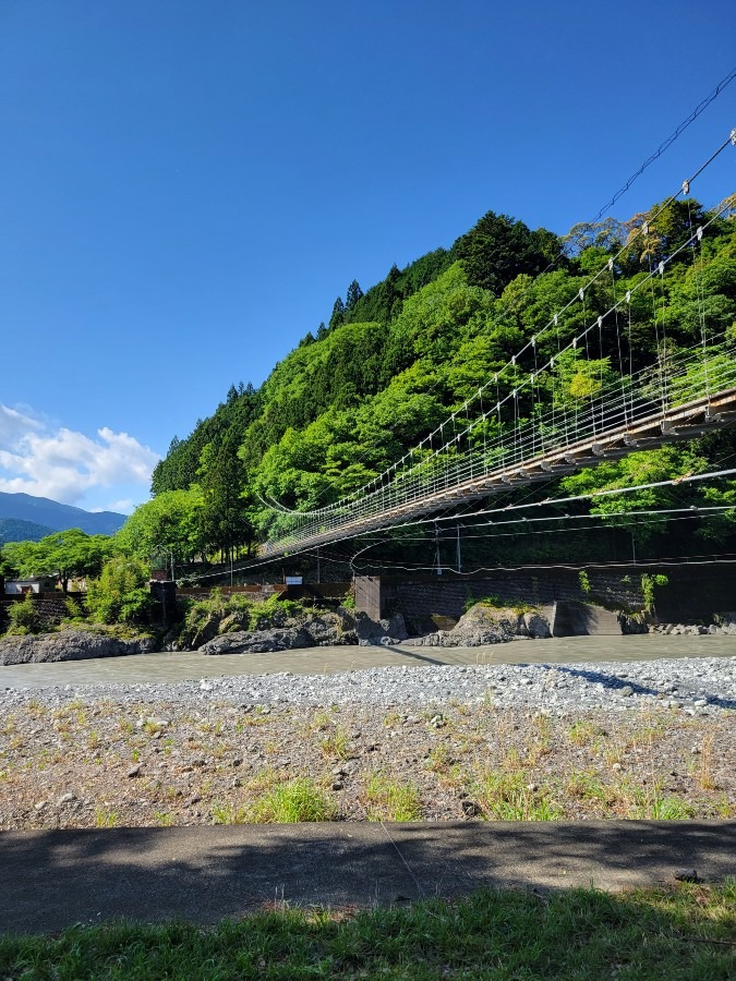 今日は近場で新緑と吊り橋を楽しんで来ました