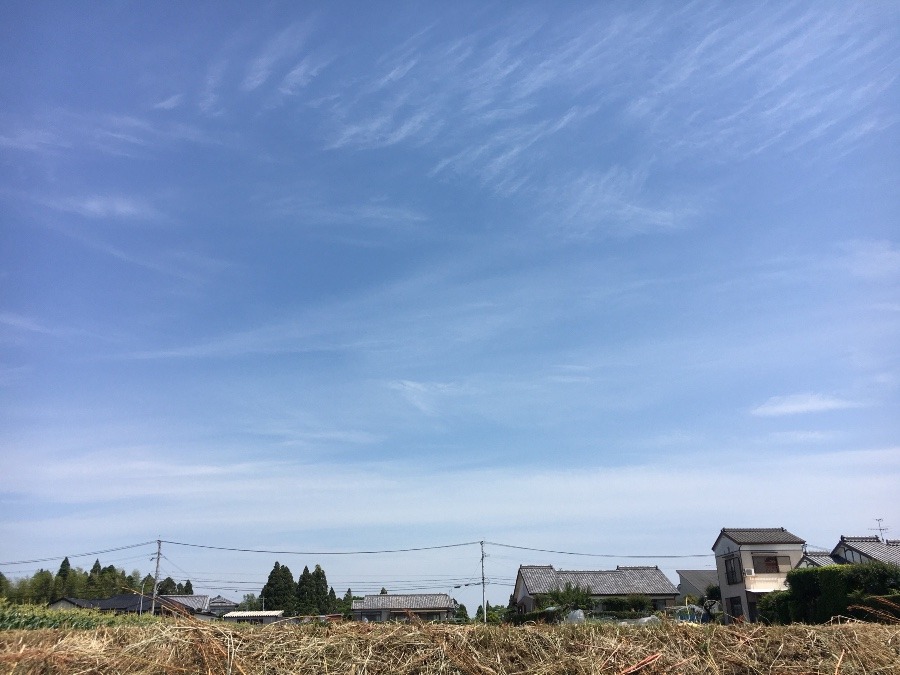 ⭕️空部→ 今日の空（≧∇≦）‼️589.