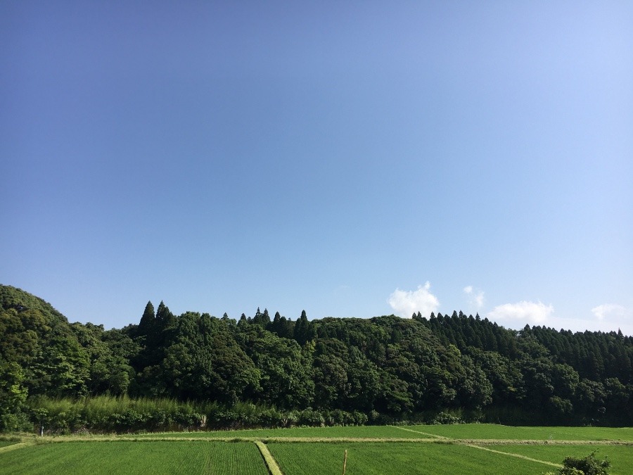 ⭕️空部→ 今日の空（≧∇≦）‼️615.