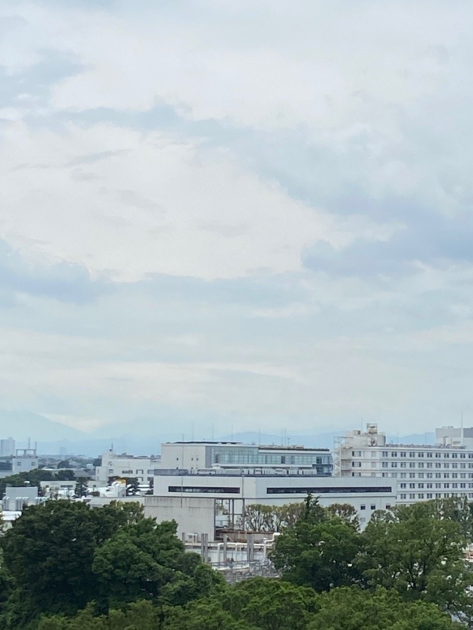 今朝の富士山