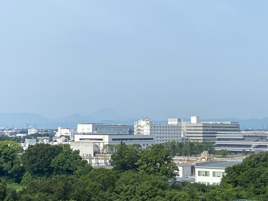 今朝の富士山