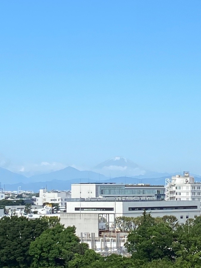 今朝の富士山　2