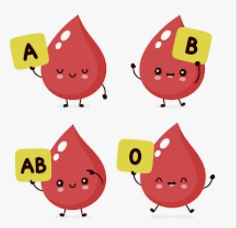 血液型は何型ですか？