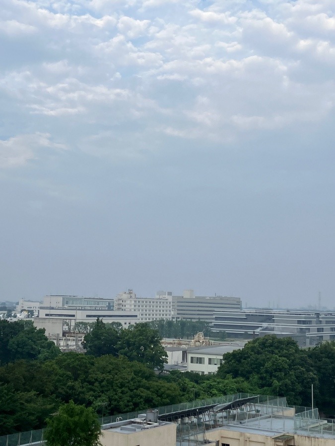 今朝の富士山