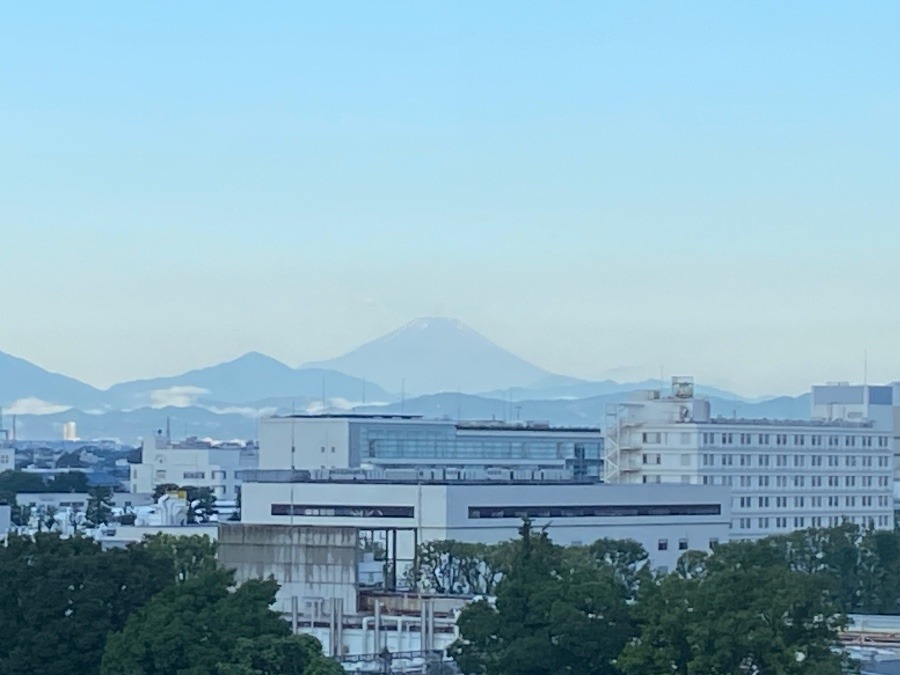 今朝の富士山