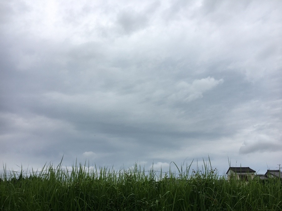 ⭕️空部→ 今日の空（≧∇≦）‼️672.