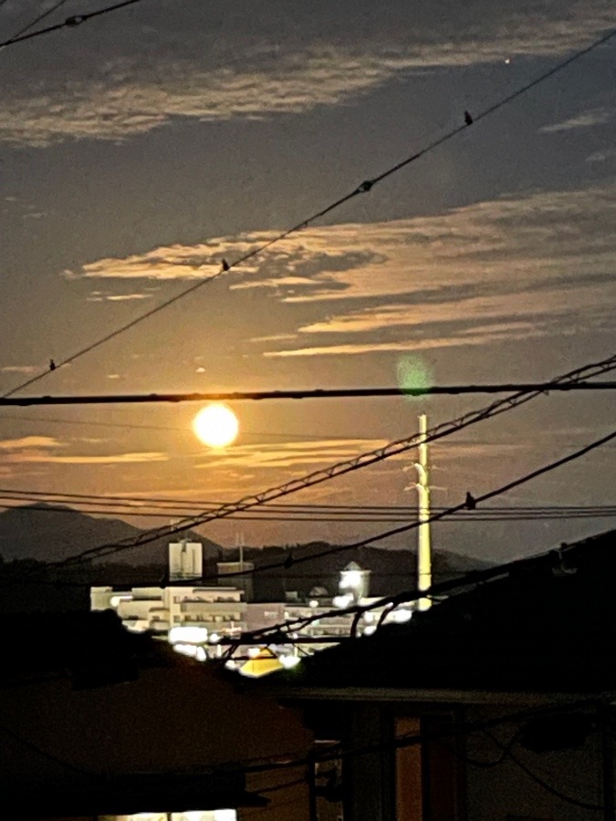 今日は満月🌕