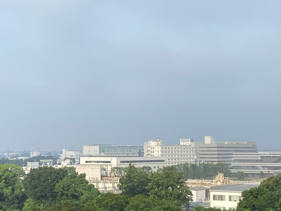 今朝の富士山