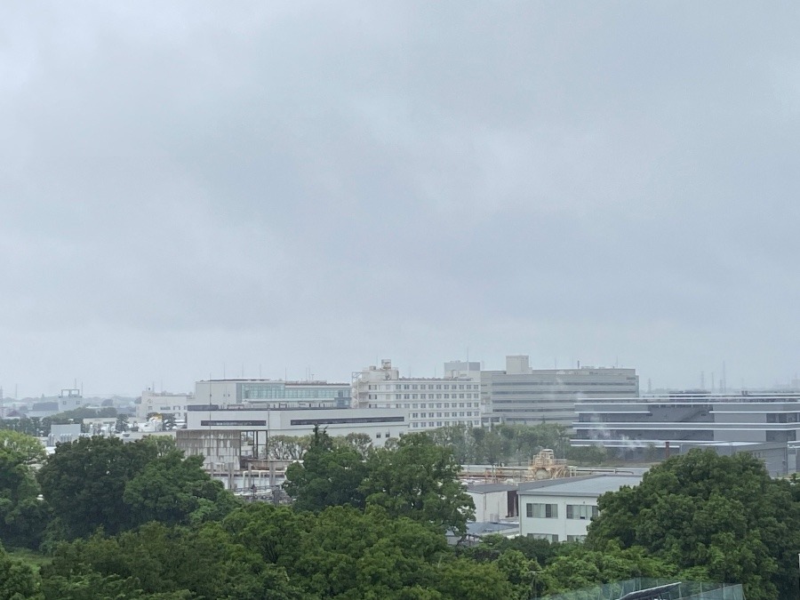 今朝の富士山