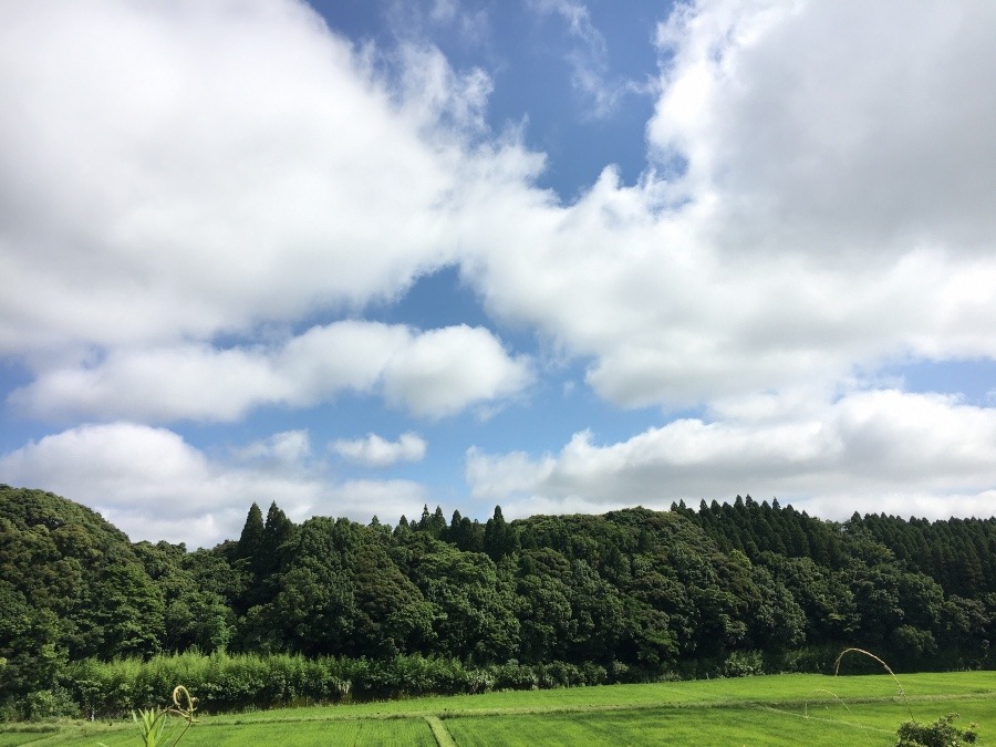 ⭕️空部→ 今日の空（≧∇≦）‼️639.