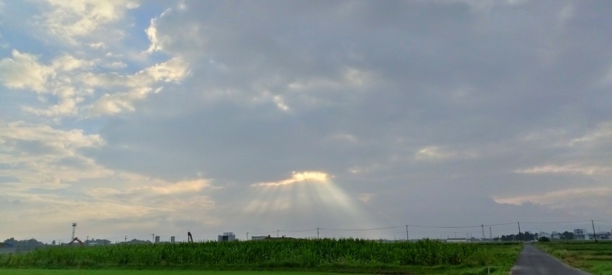 都城市（2023/6/27）今朝は曇り空😅（東の空）①