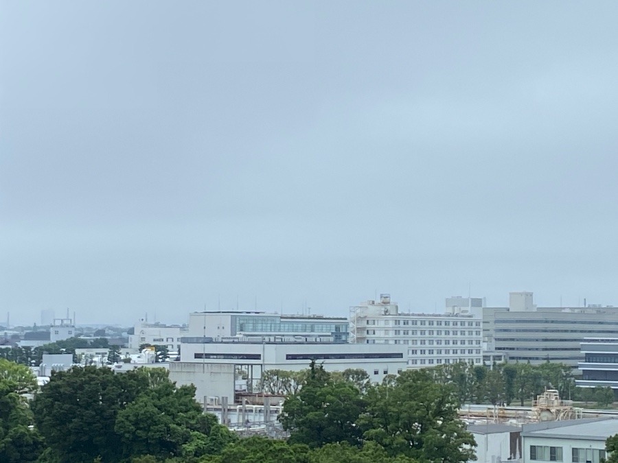 今朝の富士山