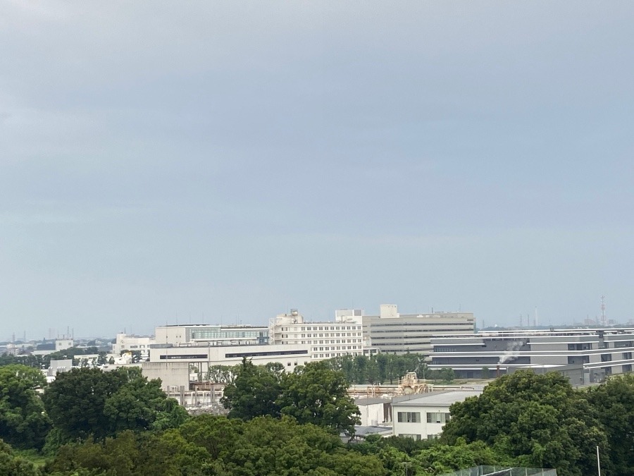 今朝の富士山