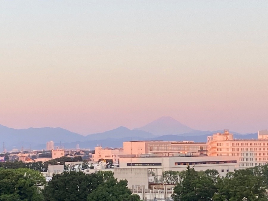 今朝の富士山