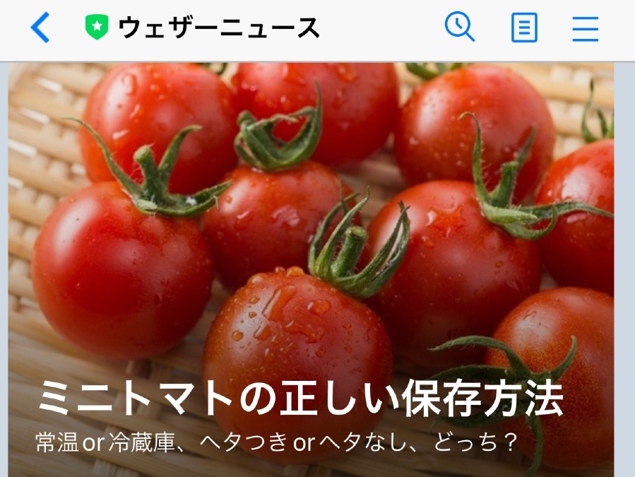 ミニトマトの保存🍅