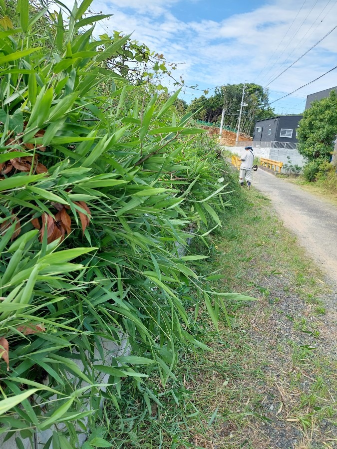 道普請でした