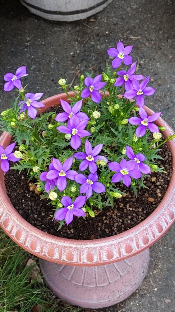 可愛い‼️