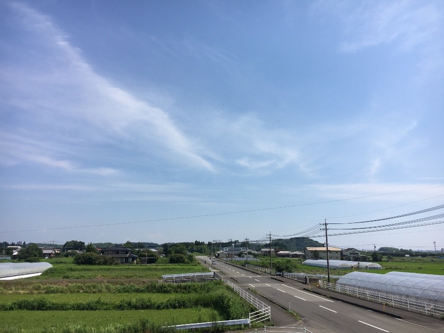 ⭕️空部→ 午前中の今日の空（≧∇≦）‼️655.