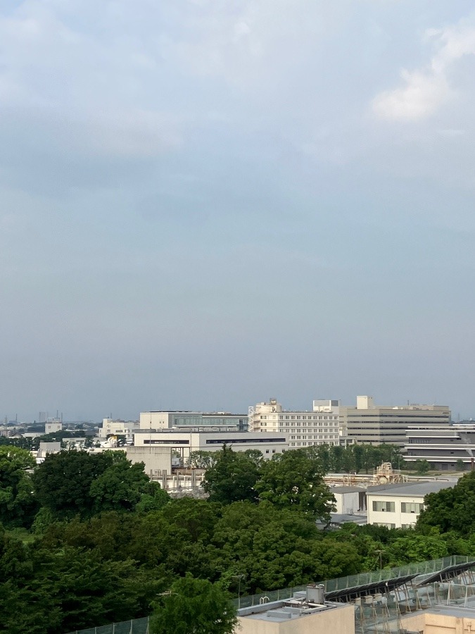 今朝の富士山