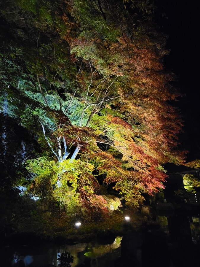 静岡県袋井市にあるあの日の法多山尊永寺㉑