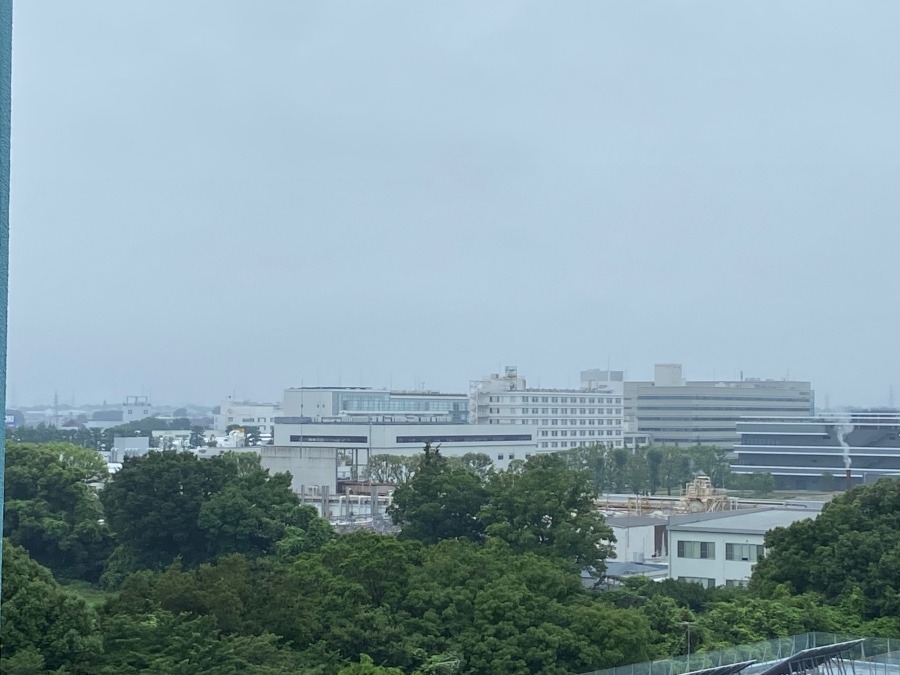 今朝の富士山