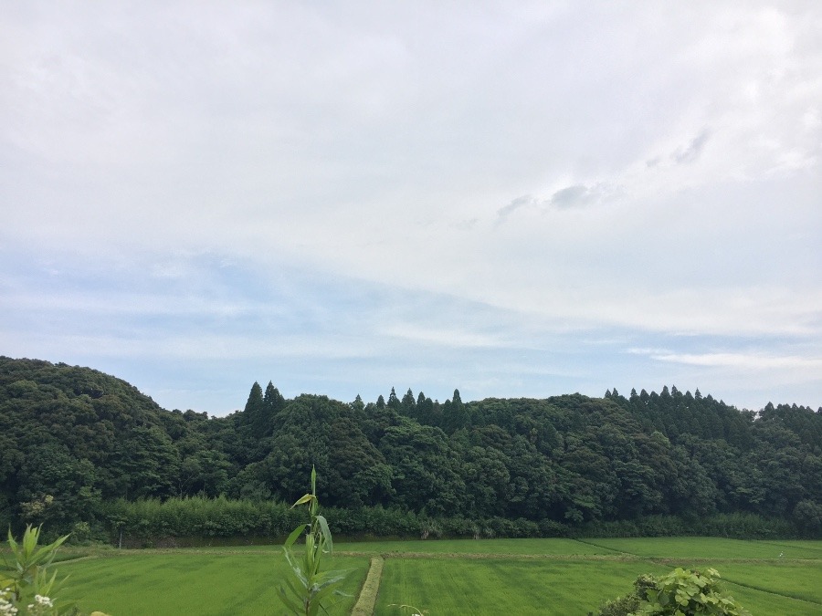 ⭕️空部→ 今日の空（≧∇≦）‼️656.