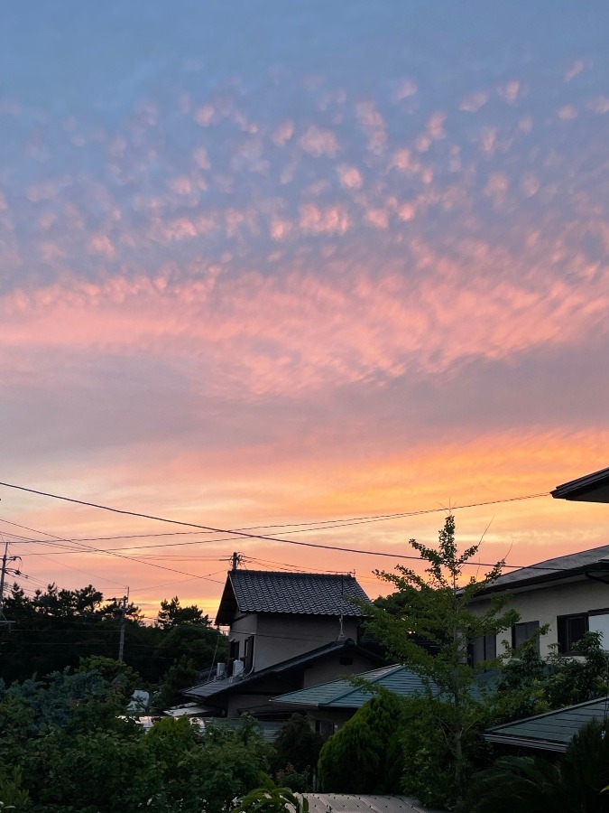 夕焼け(o^^o)