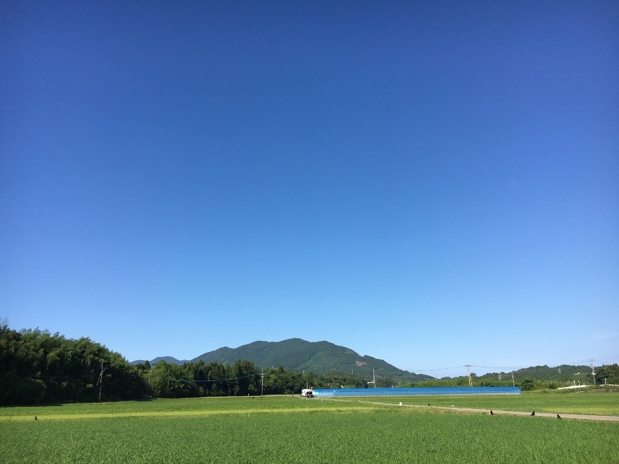 ⭕️空部→ 今日の空（≧∇≦）‼️635.