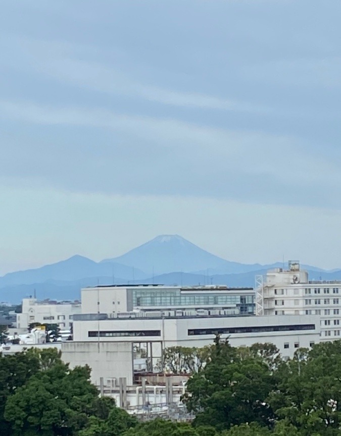 今朝の富士山