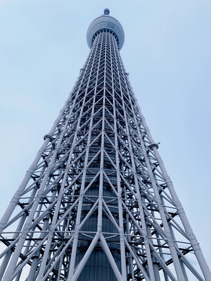 ☆東京スカイツリー☆