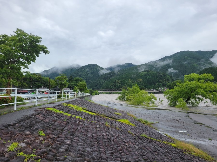 今朝の大井川