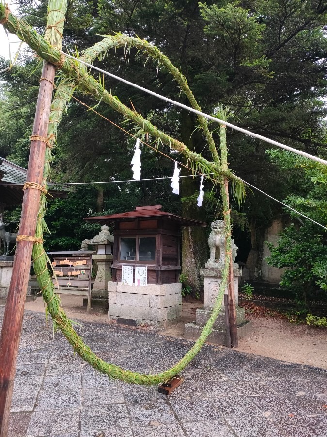 夏越の祓え、茅の輪くぐり