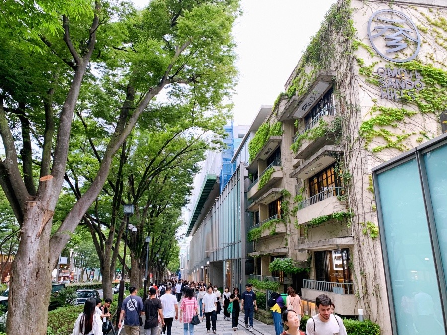 ☆雨上がりの表参道☆