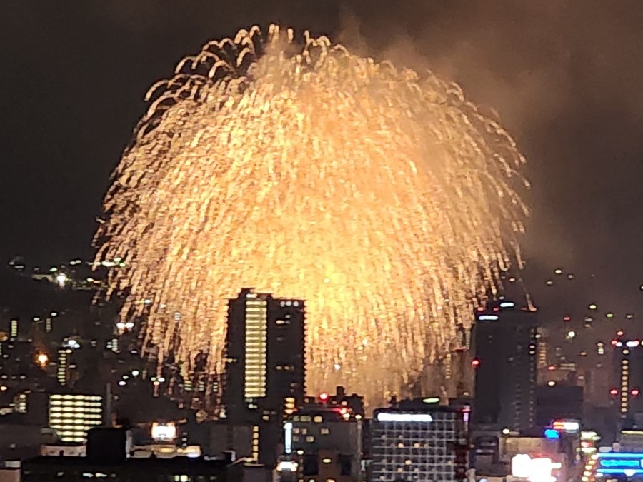 夏の夜空に大輪の華 〜 遡上が見られる豊平川で