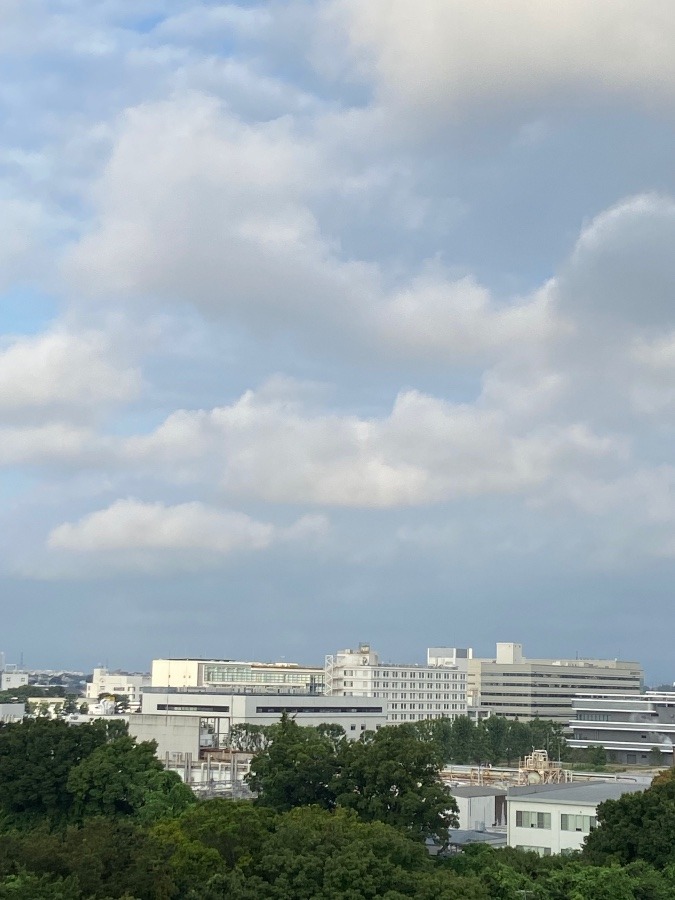 今朝の富士山