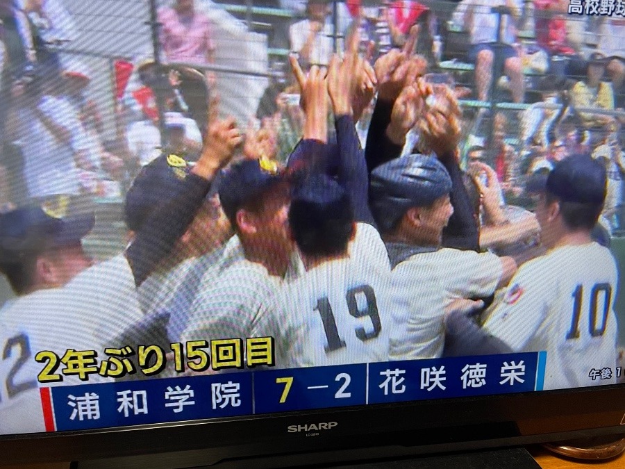 第１０５回全国高等学校野球選手権記念埼玉大会決勝