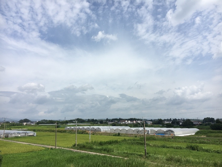 ⭕️空部→ 今日の空（≧∇≦）‼️701.