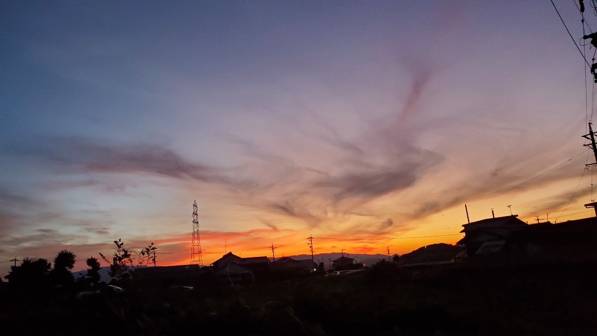 鳥のような雲と夕焼け🌆