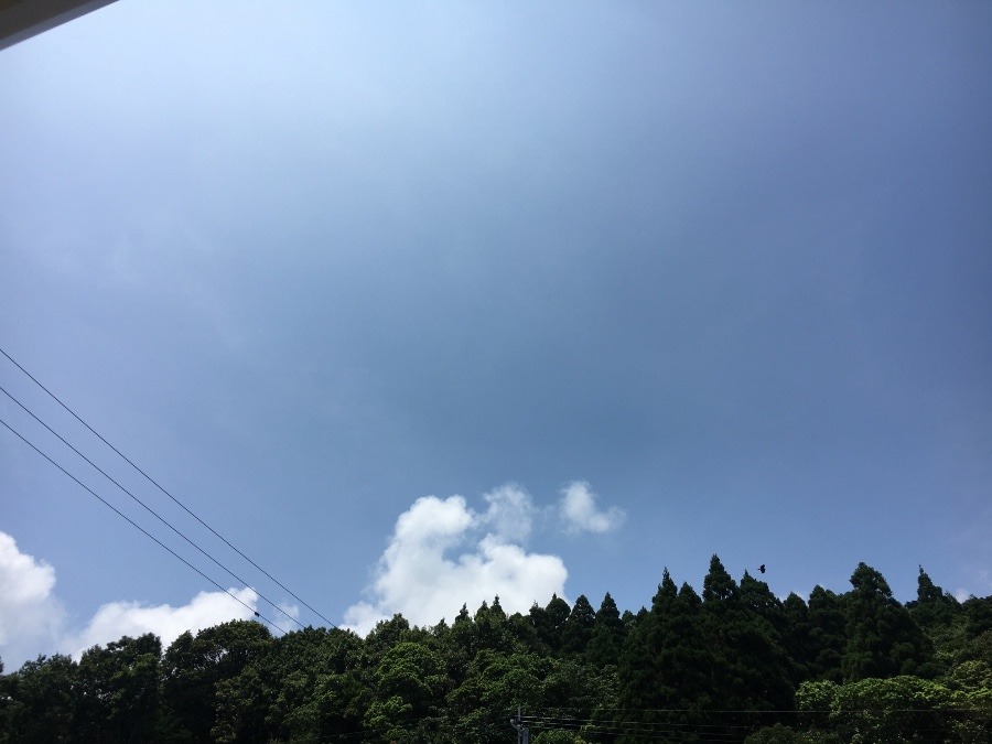 ⭕️空部→ 午前中、今日の空（≧∇≦）‼️727.