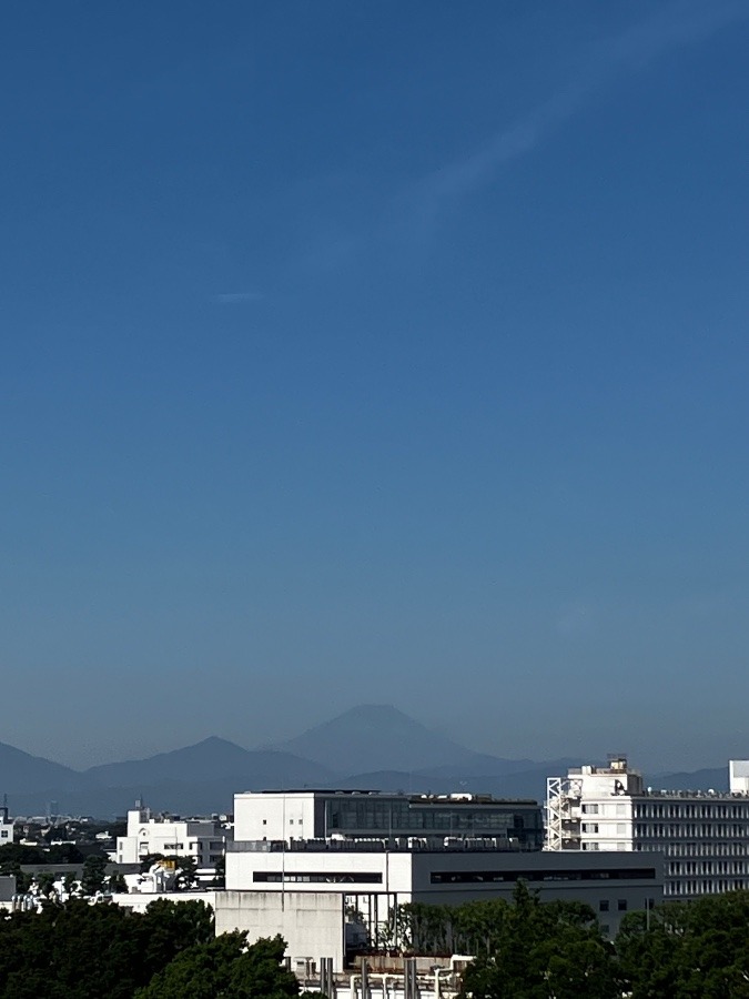 今朝の富士山　《７月１６日》