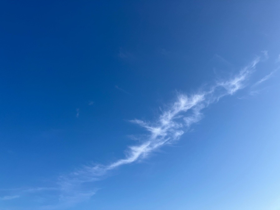 7/25 朝空