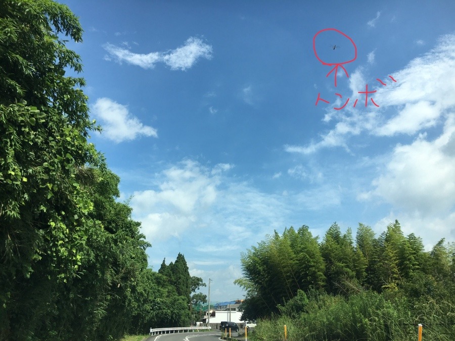 ⭕️空部→ 今日の空（≧∇≦）‼️692.