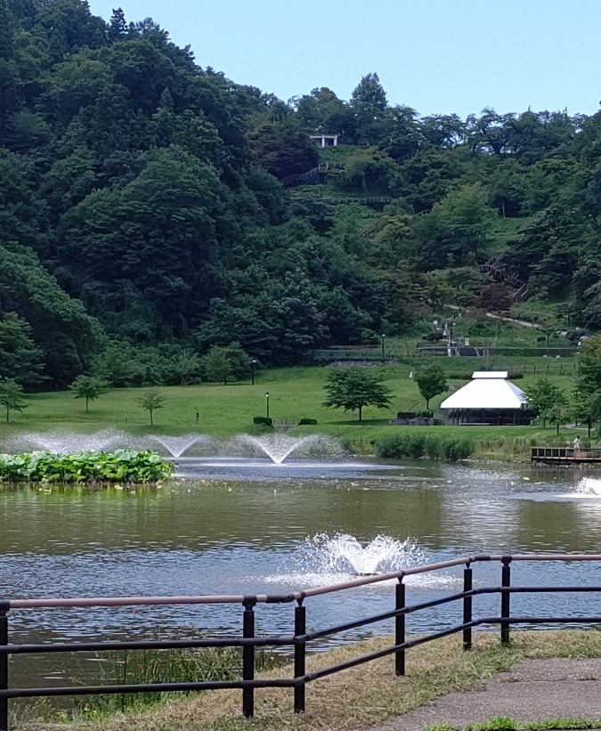 天童公園(舞鶴山)涼しげ❗️